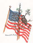 Owl and Flag